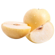 Manufacturer new season fresh and sweet Chinese super gong pear with low price